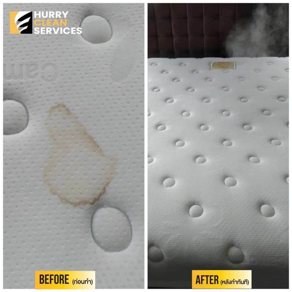 review from fur number 2