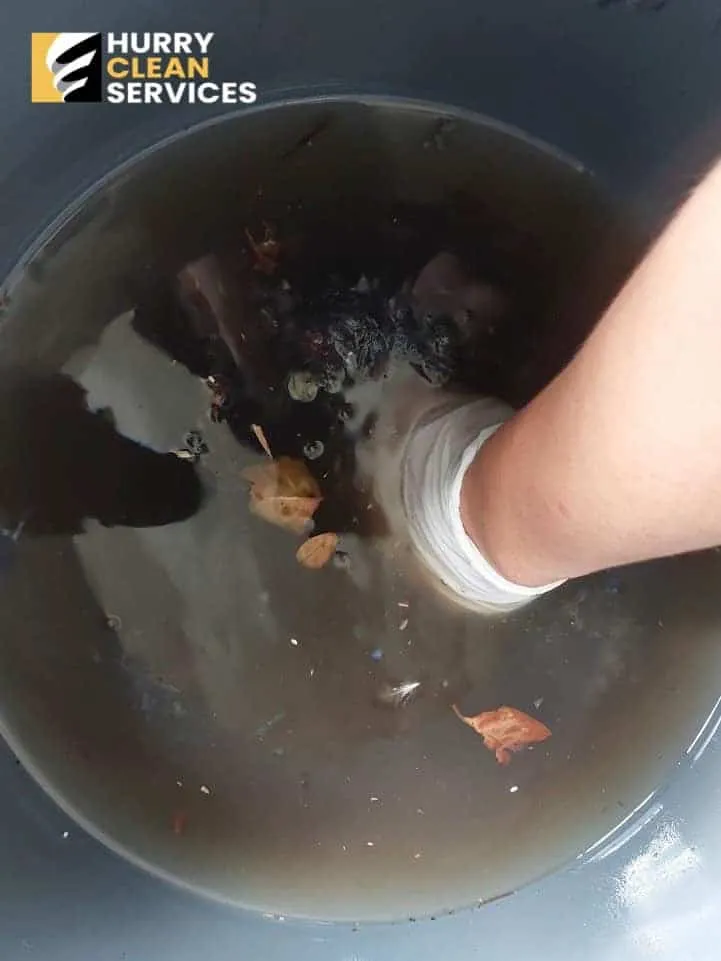 review from car-flood-mold