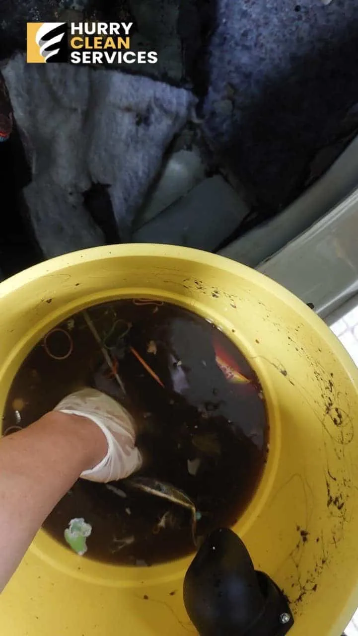 review from car-flood-mold