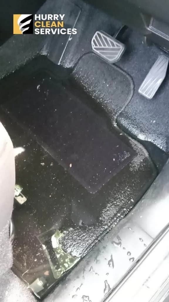 review from car-flood-mold