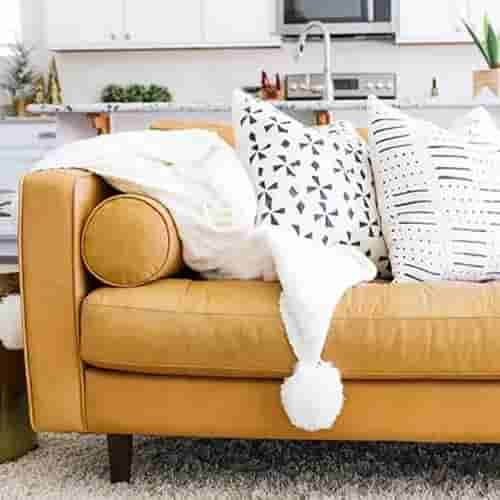 เฟอร์นิเจอร์กับสัตว์เลี้ยง