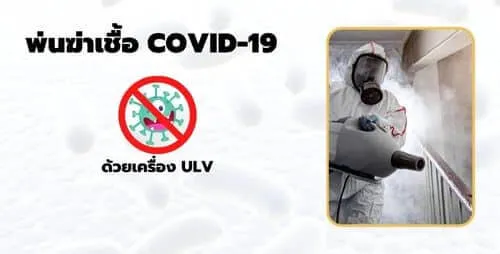 promote spray 1